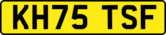 KH75TSF