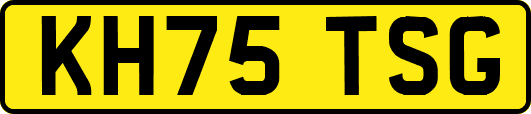 KH75TSG