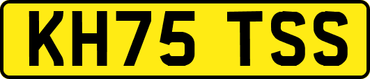 KH75TSS