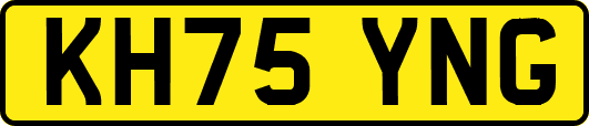 KH75YNG
