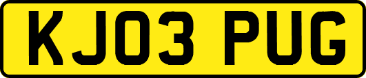 KJ03PUG