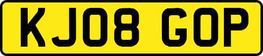 KJ08GOP