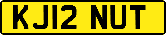 KJ12NUT