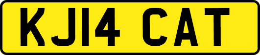KJ14CAT