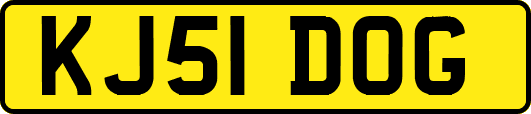 KJ51DOG