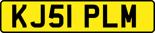 KJ51PLM