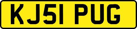 KJ51PUG