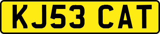 KJ53CAT