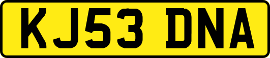 KJ53DNA