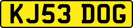KJ53DOG