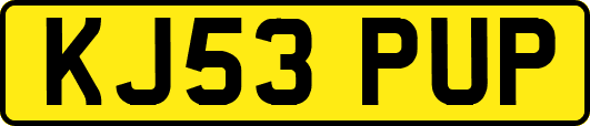 KJ53PUP