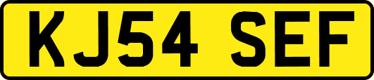 KJ54SEF