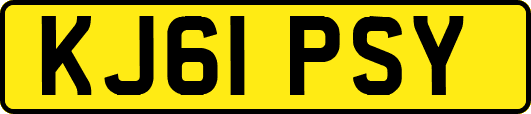KJ61PSY