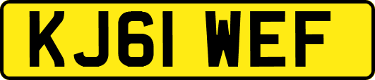 KJ61WEF