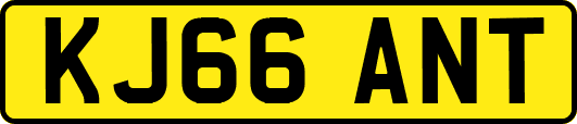 KJ66ANT