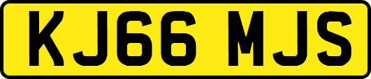 KJ66MJS