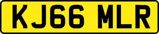 KJ66MLR