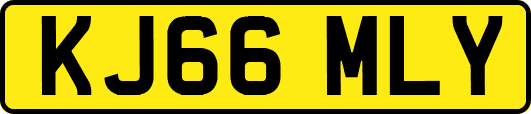 KJ66MLY