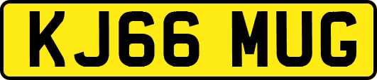 KJ66MUG