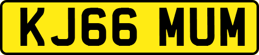 KJ66MUM