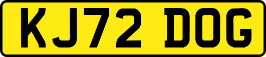 KJ72DOG