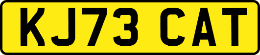 KJ73CAT
