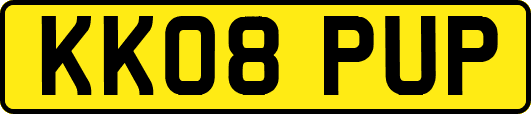 KK08PUP
