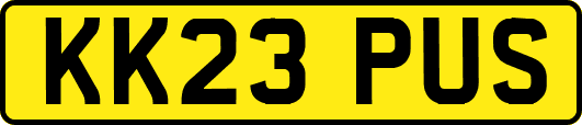 KK23PUS