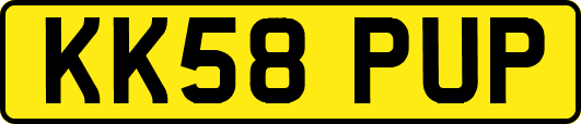 KK58PUP