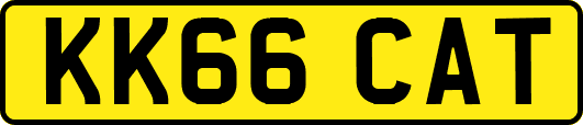 KK66CAT