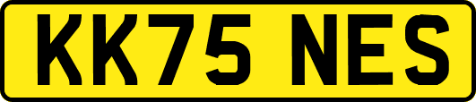 KK75NES