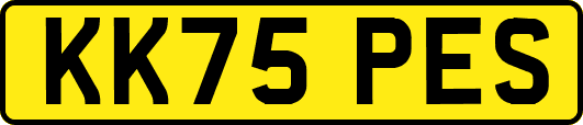 KK75PES