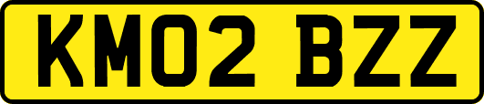 KM02BZZ