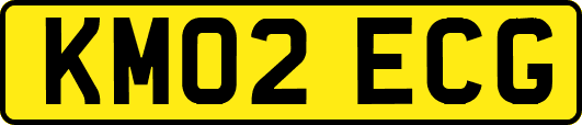 KM02ECG