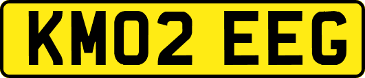 KM02EEG