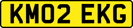 KM02EKG
