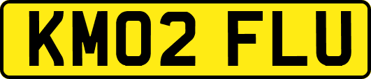 KM02FLU