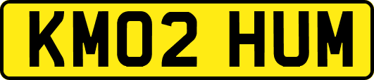 KM02HUM