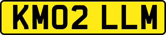 KM02LLM