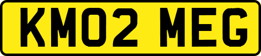 KM02MEG
