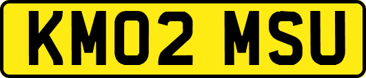 KM02MSU