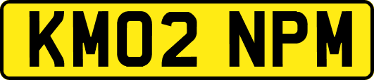 KM02NPM