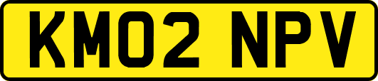 KM02NPV