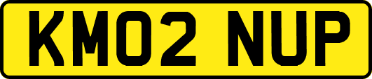 KM02NUP