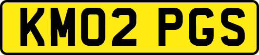 KM02PGS