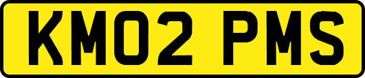 KM02PMS