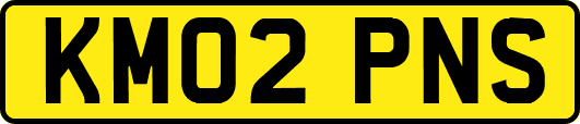 KM02PNS