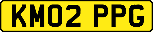 KM02PPG