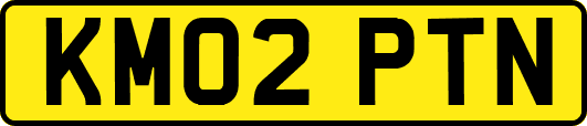 KM02PTN