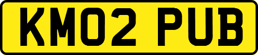 KM02PUB